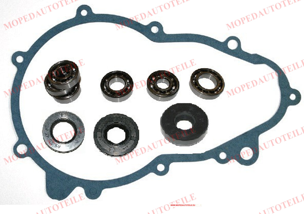 Überhölungssatz Getriebe(Getriebebox) Stilfreni Microcar(MGO1/MGO2)